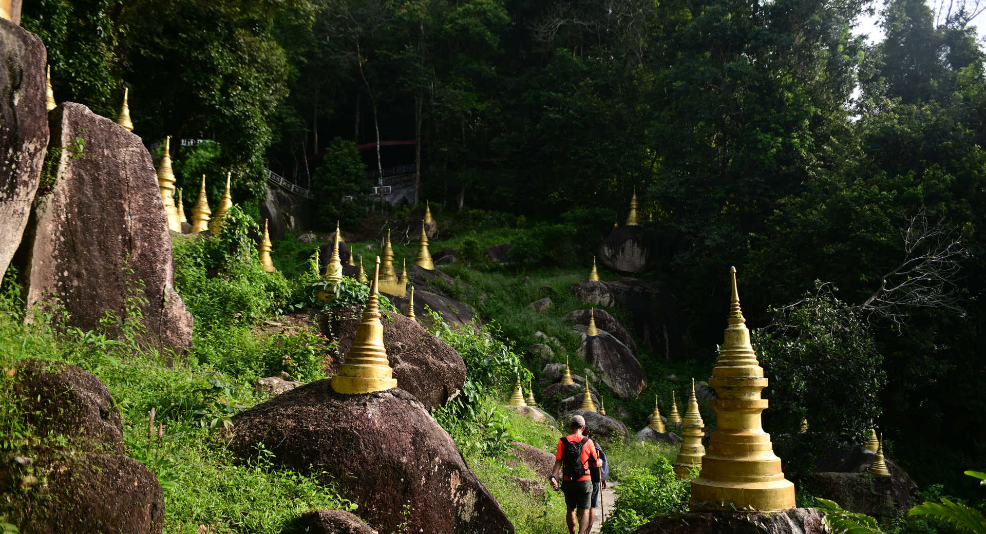 Trek - Malaisie secrète : immersion sauvage et trésors insulaires - Voyage Malaisie