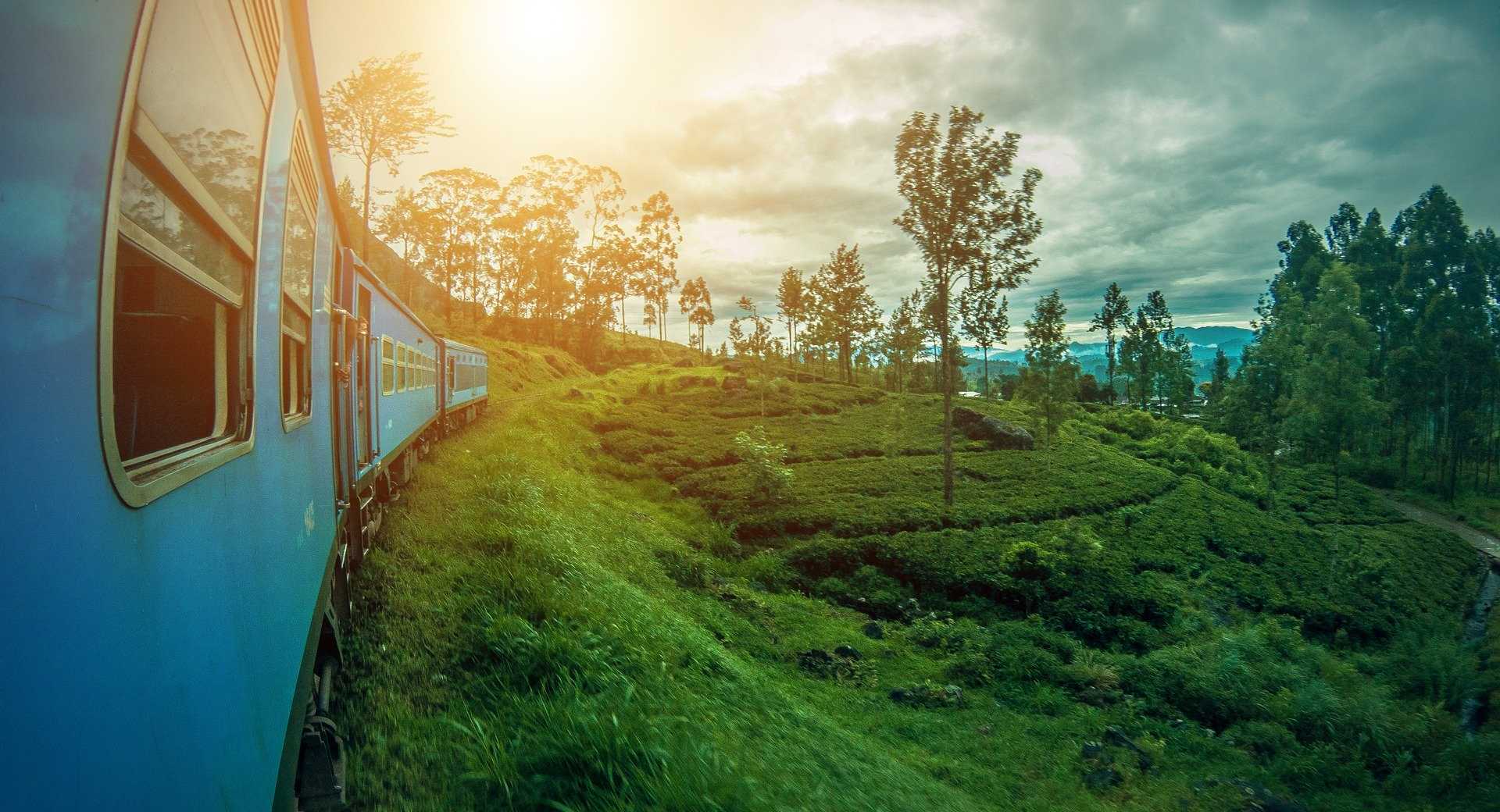 Trek - Grande découverte du Sri Lanka, du nord au sud - Voyage Sri Lanka