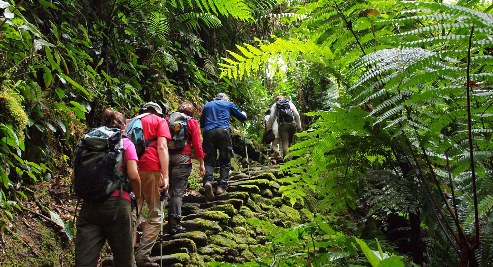 Les plus beaux treks et randonnées en montagne de Colombie