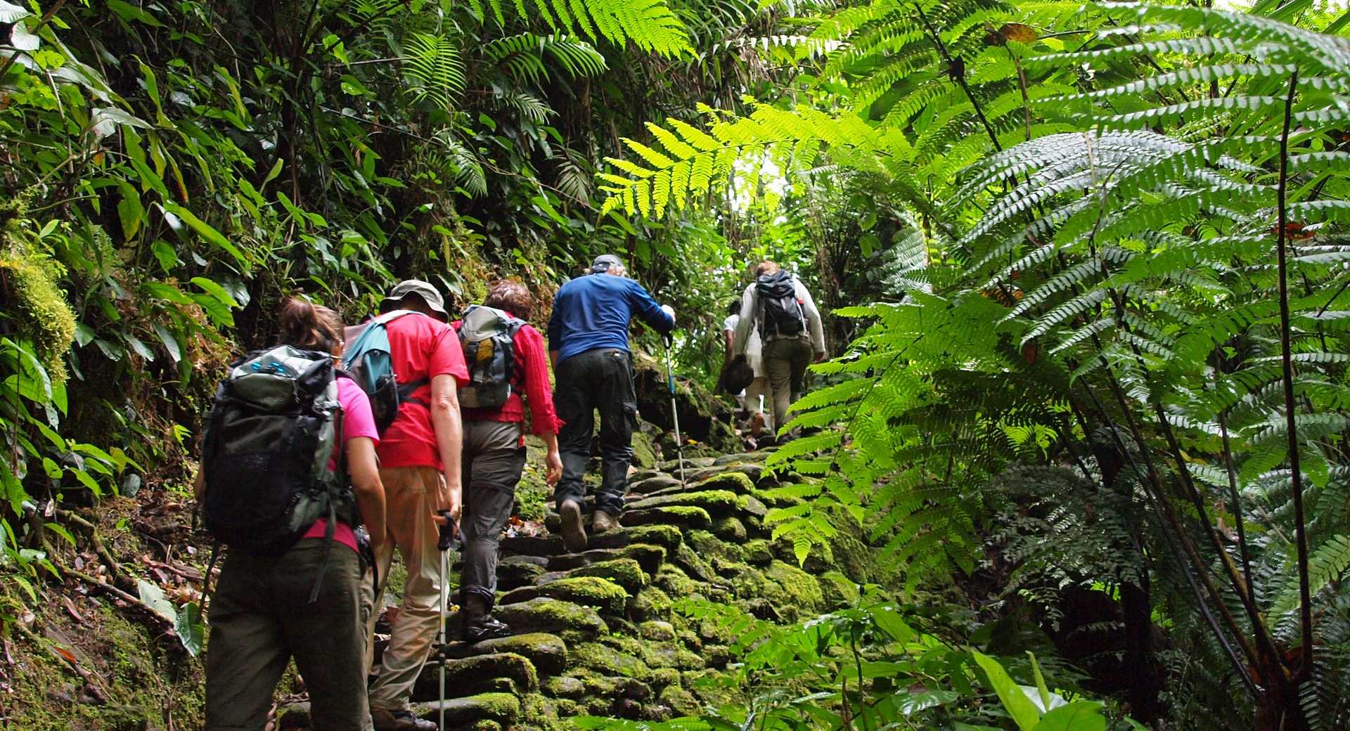 Trek - Duo de trek :  Canyon de Guatiquia et Cité Perdue - Voyage Colombie