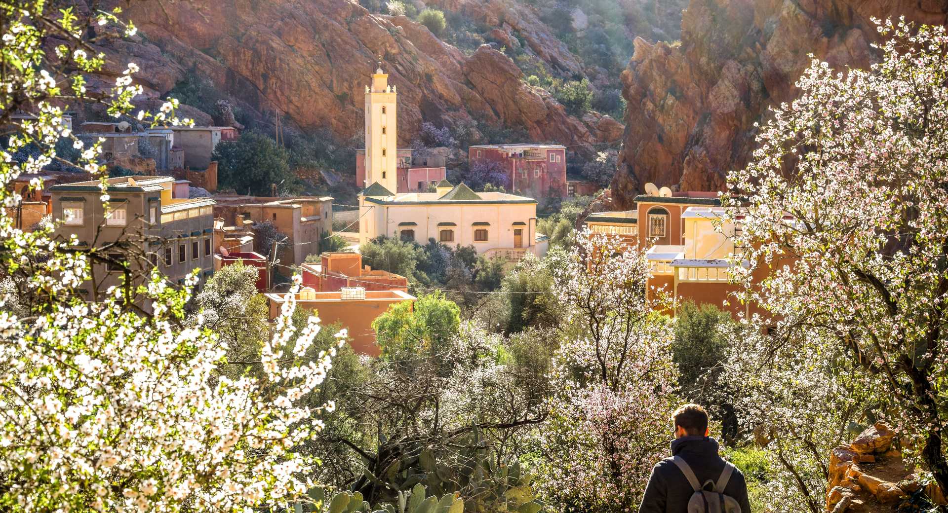Trek - Vallées de l\'Anti-Atlas - Spécial amandiers en fleurs ! - Voyage Maroc