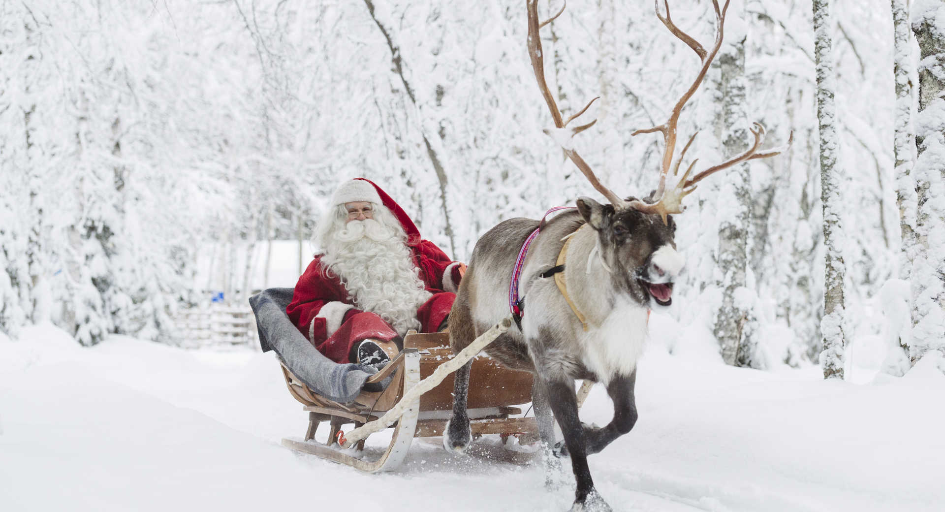 Trek - Multiactivité au pays du père noël - Voyage Finlande