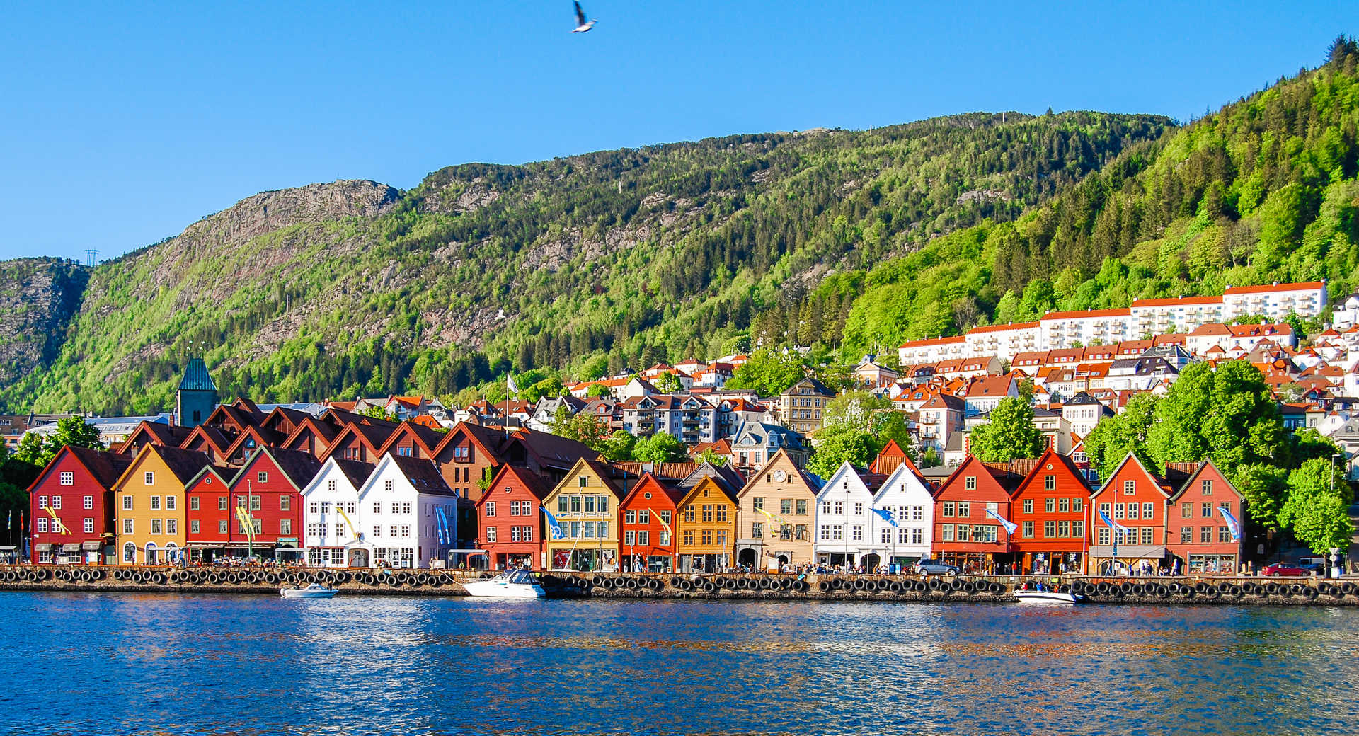 Ville de Bergen en Norvège du Sud © Zarnell Ville de Bergen en Norvège du Sud