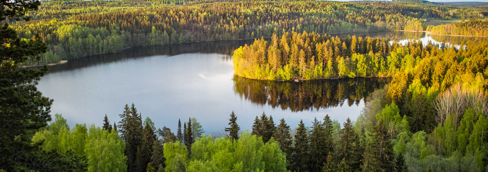 Paysage de Finlande l'automne
