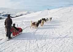 Activité traineau à chiens dans le Queyras, Alpes, France