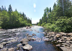 Canoë sur la rivière Batiscan au Québec
