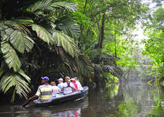 découverte en canoë du parc national Tortuguero