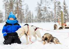 Enfant dans la neige avec un Husky