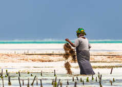 Femme qui travaille sur une plage de Zanzibar