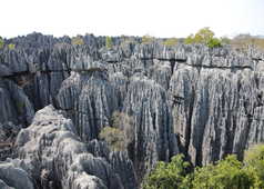 Les Tsingys de Madagascar