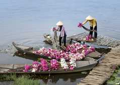 Marchand de fleurs sur un bateau au Vietnam