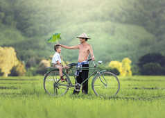 Père et fils dans les rizières au Vietnam