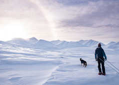 Robin et le chien dans les montagnes de l'arctique Spitzberg