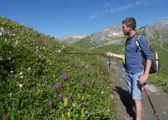 Tour du Mont Blanc dans les Alpes