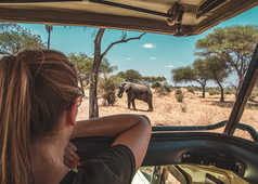 Une voyageuse dans un 4x4 en train d'observer un éléphant lors d'un safari en Tanzanie