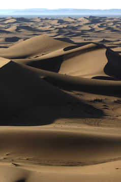 Mer de dunes, Oued Drâa, Maroc