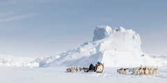 Voyage chien de traîneau au Groenland