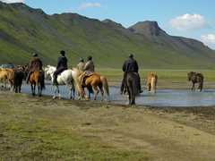 Balade en Islande à cheval