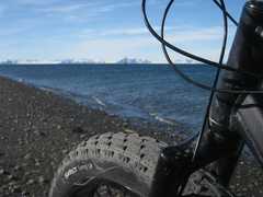 Excursion en fatbike au Spitzberg