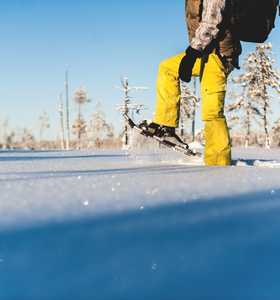 Activité raquettes en Laponie Suédoise