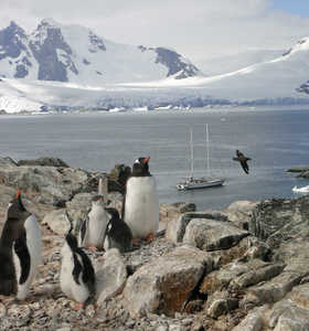 © Mar Y Poles Photo d'une croisière polaire en antarctique