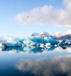 Icebergs en Islande, Jokulsarlon