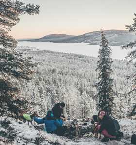 Journée de randonnée en Laponie Suédoise