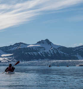 Kaye de mer en Arctique en été, Svalbard - © Yannick Long Kaye de mer en Arctique en été, Svalbard