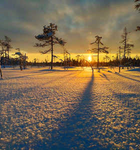 Paysage de Laponie l'hiver