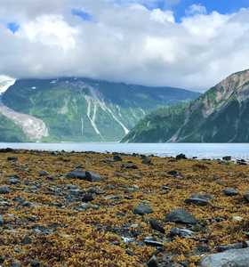 Qilak, Alaska © Qi Lak Photo du voilier Qilak, Alaska