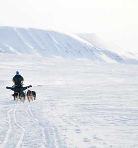 Randonnée chien de traîneau © De La Brosse Vidian Randonnée chien de traîneau au Spitzberg