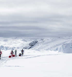 Randonnée raquettes banquise Groenland