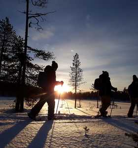 Raquettes à neige en Laponie