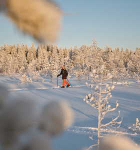 Ski Finlande à Hossa © Banhegyi Titouan Ski Finlande à Hossa