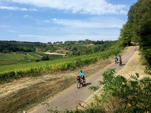 cyclistes-vigne-bourgogne-sud