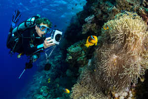 plongeur-photographiant-les-poissons-clowns-en-mer-rouge