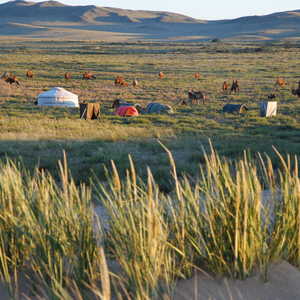 Campement et yourte mongole