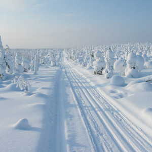 Laponie sous la neige