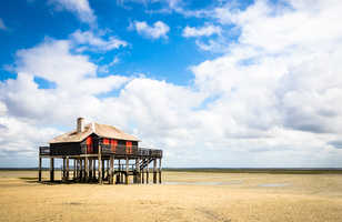 Cabane perchée à Arcachon