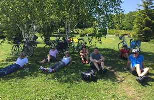 Cyclistes se démentent sous un arbre
