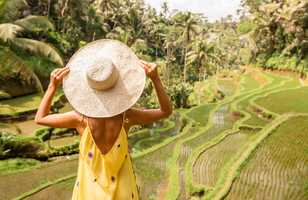Décors incontournable : les rizières en escalier de Bali