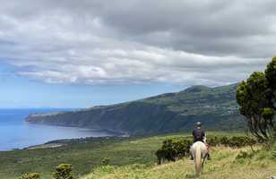 Découverte de la nature diversifiée des Açores