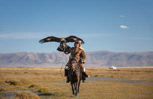 Jeune homme à cheval avec un aigle en Mongolie