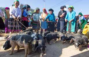 Marché ethnique dans les régions montagneuses du nord Vietnam