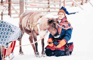 Renne et habitant sami