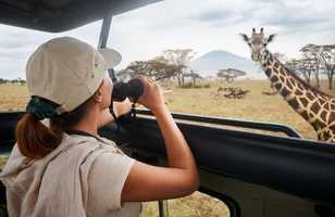 Safari dans le parc national Serengeti