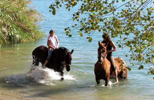 Séjour à cheval en Catalogne - Baignade avec les chevaux