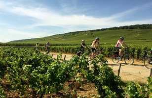 Cyclistes dans les vignes en bourgogne sud