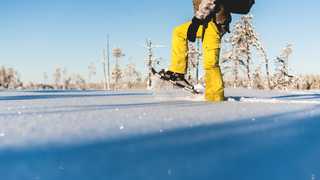 Activité raquettes en Laponie Suédoise