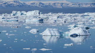 Icebergs blancs